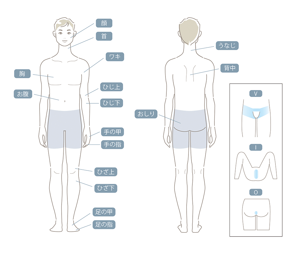 全身脱毛コース