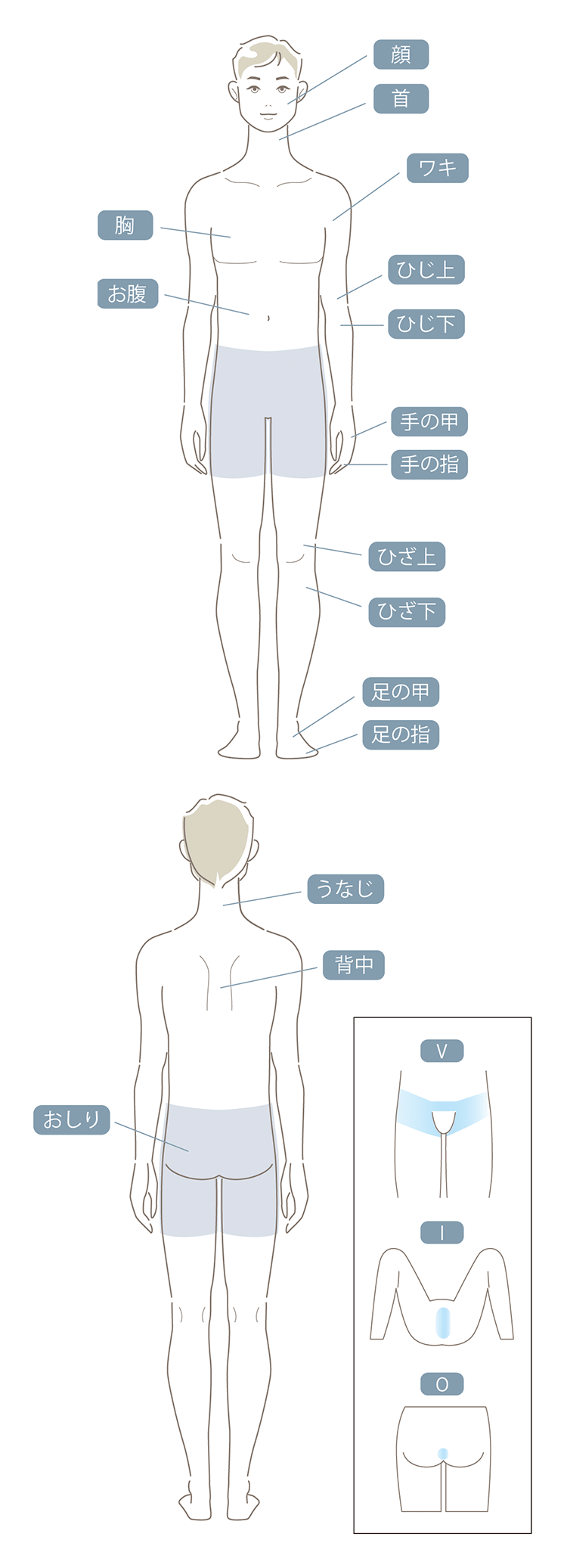 全身脱毛コース